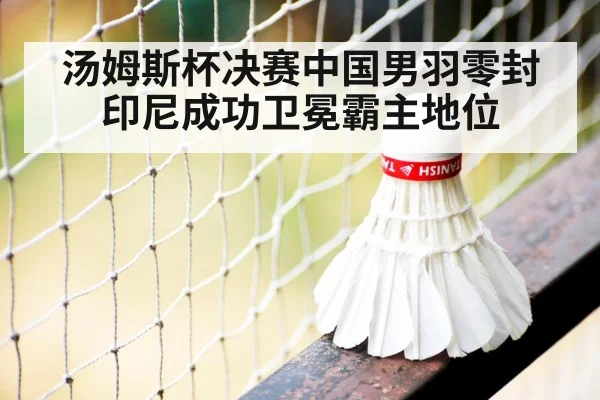 汤姆斯杯决赛中国男羽零封印尼成功卫冕霸主地位