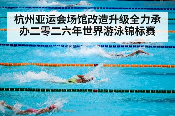 swimming competition